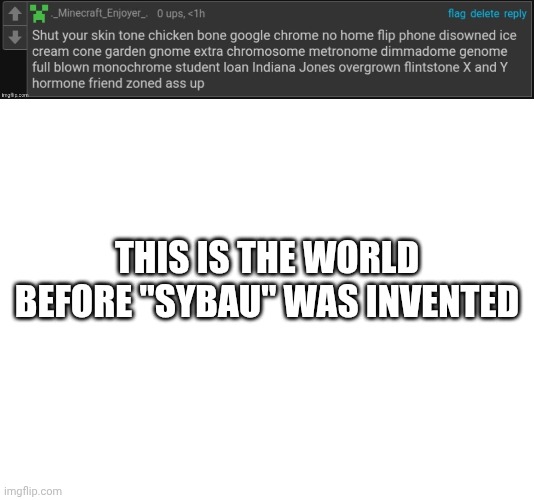 i hate these gen alphas (the brainrotted kind) | THIS IS THE WORLD BEFORE "SYBAU" WAS INVENTED | image tagged in packgod ahh roast,blank white template,before | made w/ Imgflip meme maker