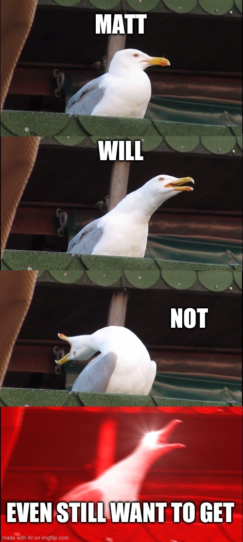 Inhaling Seagull | MATT; WILL; NOT; EVEN STILL WANT TO GET | image tagged in memes,inhaling seagull | made w/ Imgflip meme maker