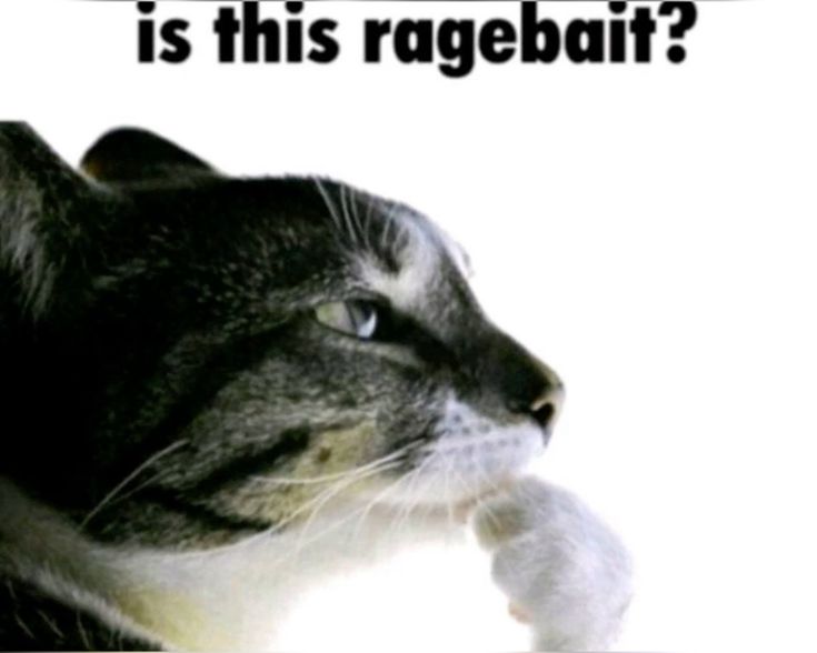 Is this ragebait? Blank Meme Template
