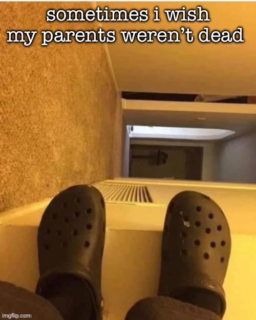 i am forced to live alone at 15 fuck my life | sometimes i wish my parents weren’t dead | image tagged in i m gonna fall | made w/ Imgflip meme maker