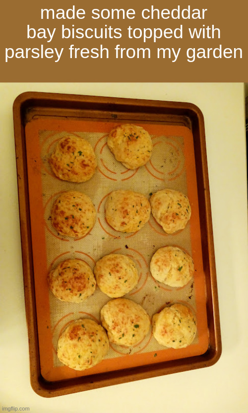 made some cheddar bay biscuits topped with parsley fresh from my garden | made w/ Imgflip meme maker