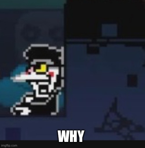 WHY | made w/ Imgflip meme maker