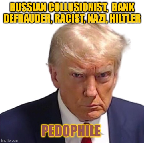 What's Next, and Did I Miss Something? | RUSSIAN COLLUSIONIST,  BANK DEFRAUDER, RACIST, NAZI, HILTLER; PEDOPHILE | image tagged in trump mugshot,pirate,slave trader,bought all the rookie cards | made w/ Imgflip meme maker