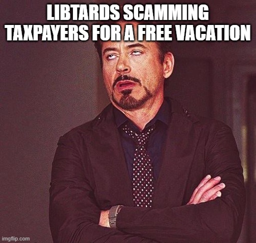 Robert Downey Jr Annoyed | LIBTARDS SCAMMING TAXPAYERS FOR A FREE VACATION | image tagged in robert downey jr annoyed | made w/ Imgflip meme maker