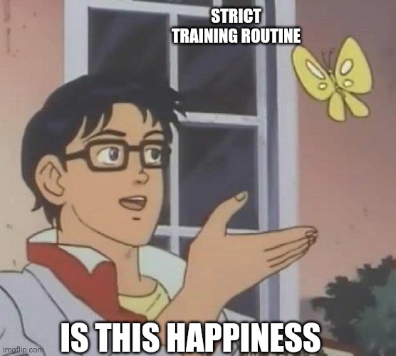 is this butterfly | STRICT TRAINING ROUTINE; IS THIS HAPPINESS | image tagged in is this butterfly | made w/ Imgflip meme maker