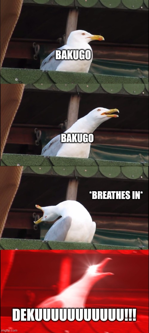 hehehe | BAKUGO; BAKUGO; *BREATHES IN*; DEKUUUUUUUUUUU!!! | image tagged in memes,inhaling seagull | made w/ Imgflip meme maker
