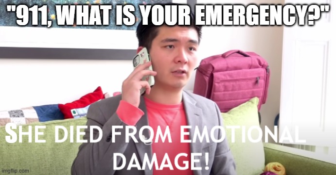 HE DIED FROM EMOTIONAL DAMAGE | "911, WHAT IS YOUR EMERGENCY?" S | image tagged in he died from emotional damage | made w/ Imgflip meme maker