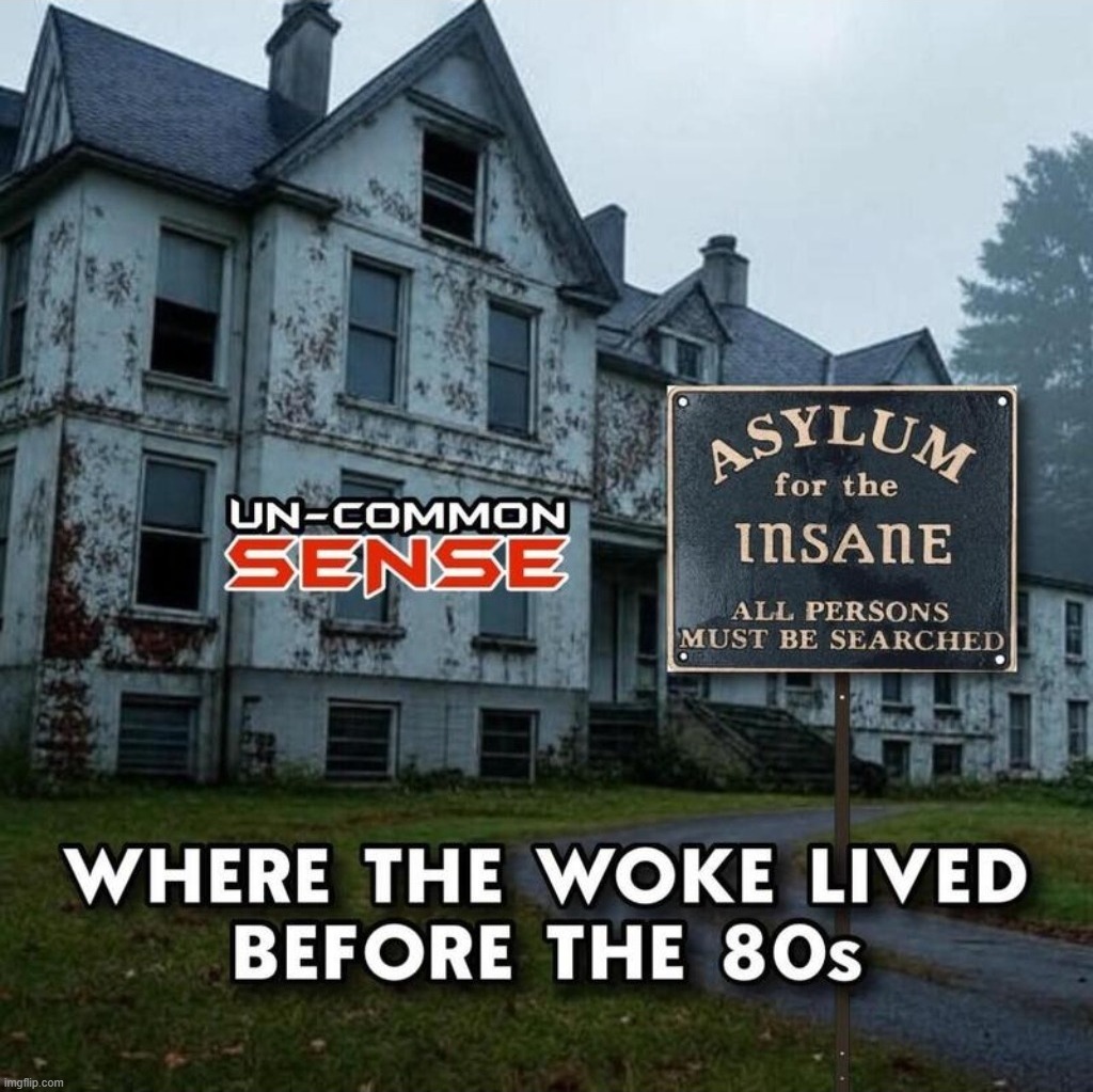 Make Insane Asylums Great Again! | image tagged in insane asylum,asylum,funny farm,woke,liberals,useful idiots | made w/ Imgflip meme maker