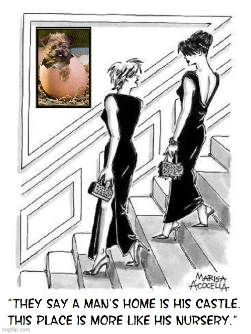 A Man's Home is His Castle | image tagged in vince vance,cartoons,ladies,dogs,high heels,man cave | made w/ Imgflip meme maker