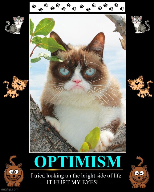 The Return of Grumpy Cat | image tagged in vince vance,cats,grumpy cat,optimism,demotivationals,memes | made w/ Imgflip meme maker