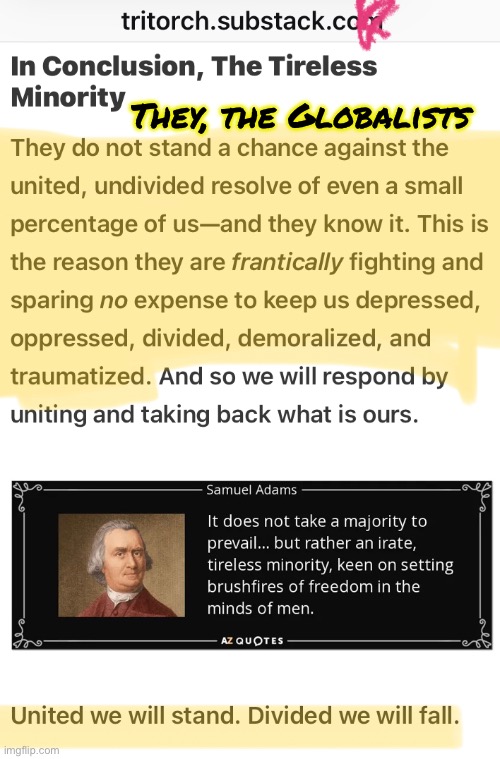 Brushfires of Freedom | They, the Globalists | image tagged in memes,evil lefty wants to control you,they will if u do nothing,u must say no to lefty madness,fjb voters kissmyass | made w/ Imgflip meme maker