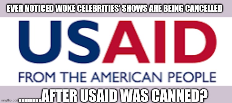 Democrat slush fund? | EVER NOTICED WOKE CELEBRITIES' SHOWS ARE BEING CANCELLED; ........AFTER USAID WAS CANNED? | image tagged in usaid logo | made w/ Imgflip meme maker