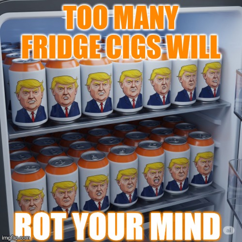 Trump Fridge Cigs | TOO MANY
FRIDGE CIGS WILL; ROT YOUR MIND | image tagged in trump fridge cigs | made w/ Imgflip meme maker
