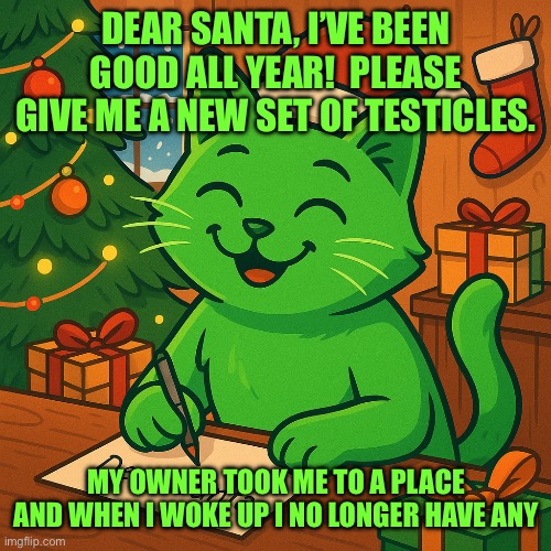 RayCat’s Christmas Letter | DEAR SANTA, I’VE BEEN GOOD ALL YEAR!  PLEASE GIVE ME A NEW SET OF TESTICLES. MY OWNER TOOK ME TO A PLACE AND WHEN I WOKE UP I NO LONGER HAVE ANY | image tagged in raycat s christmas letter | made w/ Imgflip meme maker