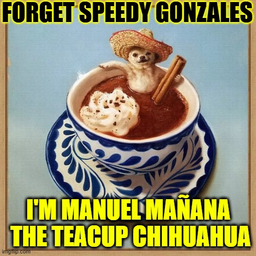 Chilling in a cup of Cocoa | FORGET SPEEDY GONZALES; I'M MANUEL MAÑANA 
THE TEACUP CHIHUAHUA | image tagged in vince vance,memes,chihuahua,hot chocolate,whipped cream,hot tub | made w/ Imgflip meme maker