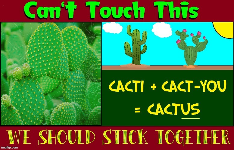 Cacti Delecti | image tagged in vince vance,stick together,memes,cactus,needles,spines | made w/ Imgflip meme maker