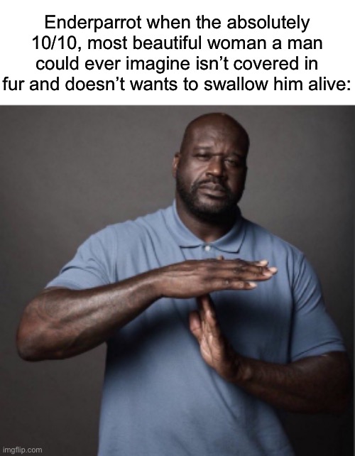 Shaq Time Out | Enderparrot when the absolutely 10/10, most beautiful woman a man could ever imagine isn’t covered in fur and doesn’t wants to swallow him alive: | image tagged in shaq time out,msmg,slander | made w/ Imgflip meme maker