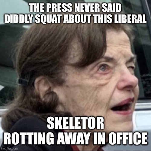 Dianne feinstein | THE PRESS NEVER SAID DIDDLY SQUAT ABOUT THIS LIBERAL SKELETOR ROTTING AWAY IN OFFICE | image tagged in dianne feinstein | made w/ Imgflip meme maker