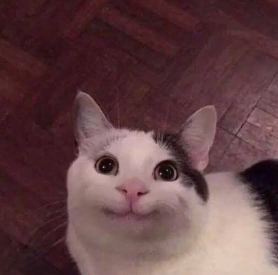 please? Blank Meme Template