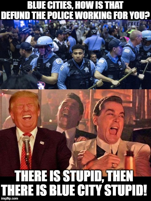 There is stupid, then there is blue city stupid! | BLUE CITIES, HOW IS THAT DEFUND THE POLICE WORKING FOR YOU? THERE IS STUPID, THEN THERE IS BLUE CITY STUPID! | image tagged in sam elliott special kind of stupid | made w/ Imgflip meme maker