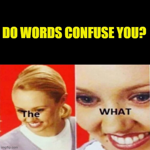 The What | DO WORDS CONFUSE YOU? | image tagged in the what | made w/ Imgflip meme maker