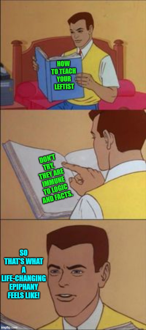 Hang in there Peter! | HOW TO TEACH YOUR LEFTIST; DON'T TRY.  THEY ARE IMMUNE TO LOGIC AND FACTS. SO THAT'S WHAT A LIFE-CHANGING EPIPHANY FEELS LIKE! | image tagged in peter parker reading a book | made w/ Imgflip meme maker