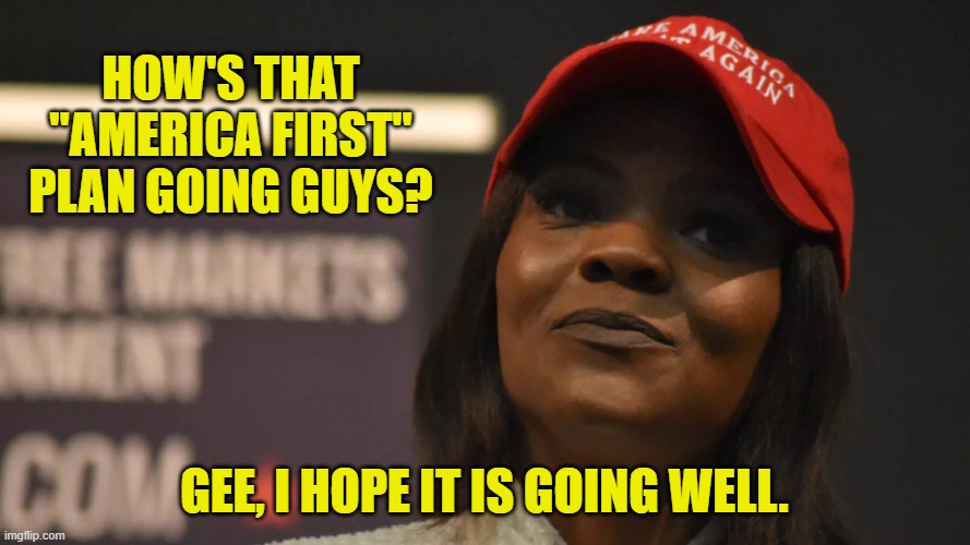 HOW'S THAT "AMERICA FIRST" PLAN GOING GUYS? GEE, I HOPE IT IS GOING WELL. | made w/ Imgflip meme maker
