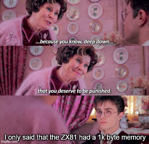 Harry Potter deserve to be punished | I only said that the ZX81 had a 1k byte memory | image tagged in harry potter deserve to be punished | made w/ Imgflip meme maker