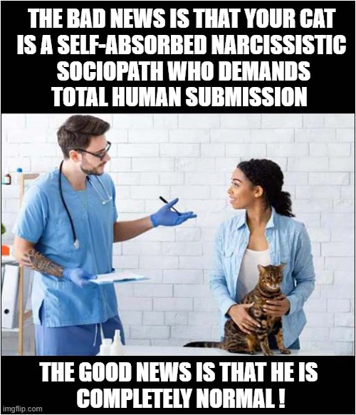 The Test Results Are In ! | THE BAD NEWS IS THAT YOUR CAT
IS A SELF-ABSORBED NARCISSISTIC
 SOCIOPATH WHO DEMANDS
TOTAL HUMAN SUBMISSION; THE GOOD NEWS IS THAT HE IS 
COMPLETELY NORMAL ! | image tagged in cats,results,bad news,good news | made w/ Imgflip meme maker