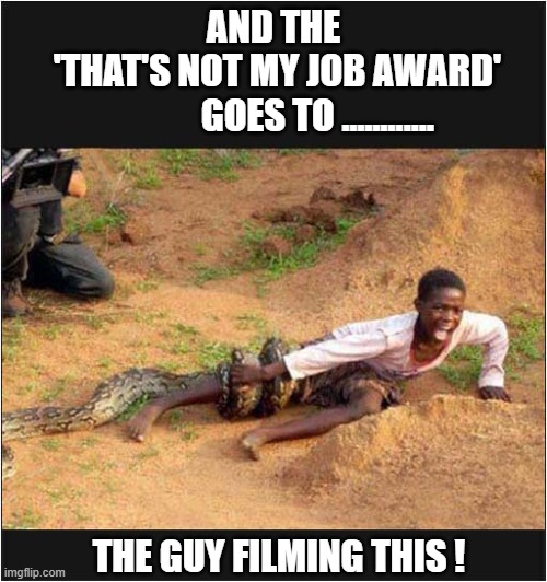 A Wildlife Cameraman Must Never Interfere With Nature ! | AND THE
 'THAT'S NOT MY JOB AWARD'
            GOES TO ............ THE GUY FILMING THIS ! | image tagged in national geographic,snake,boy,dark humour | made w/ Imgflip meme maker