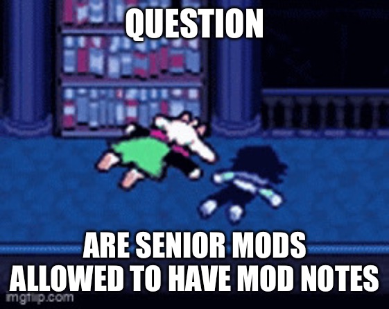 because senior mods have owner rights so i got curious | QUESTION; ARE SENIOR MODS ALLOWED TO HAVE MOD NOTES | image tagged in compassion | made w/ Imgflip meme maker