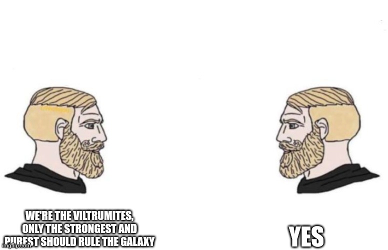 Double Yes Chad | YES; WE'RE THE VILTRUMITES, ONLY THE STRONGEST AND PUREST SHOULD RULE THE GALAXY | image tagged in double yes chad | made w/ Imgflip meme maker
