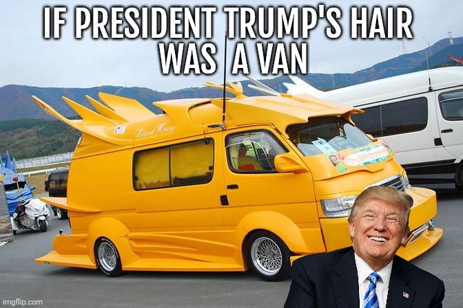 Donald Trump meme | WAS  A VAN; IF PRESIDENT TRUMP'S HAIR | image tagged in donald trump | made w/ Imgflip meme maker