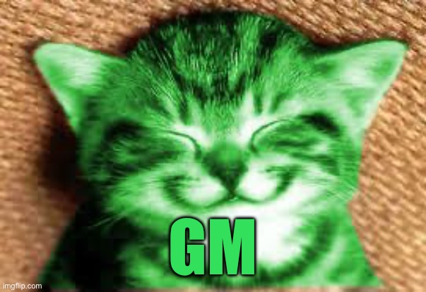 happy RayCat | GM | image tagged in happy raycat | made w/ Imgflip meme maker