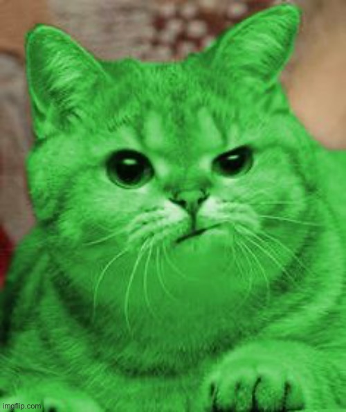RayCat Annoyed | image tagged in raycat annoyed | made w/ Imgflip meme maker