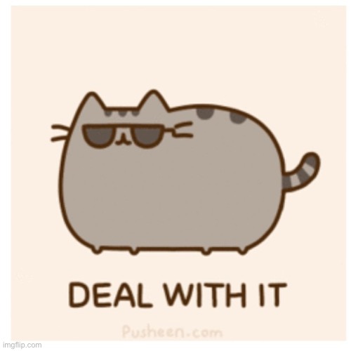 Pusheen Deal With It | image tagged in pusheen deal with it | made w/ Imgflip meme maker