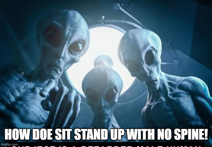 Aliens examining you | HOW DOE SIT STAND UP WITH NO SPINE! | image tagged in aliens examining you | made w/ Imgflip meme maker