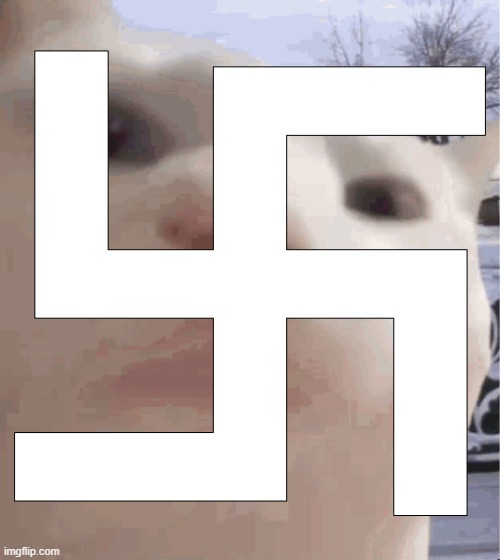 i showed you my | 卐 | image tagged in i showed you my | made w/ Imgflip meme maker