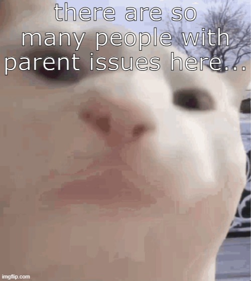 i showed you my | there are so many people with parent issues here... | image tagged in i showed you my | made w/ Imgflip meme maker