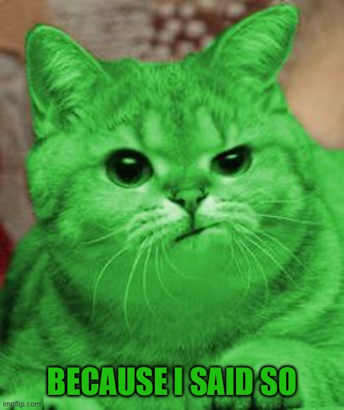 RayCat Annoyed | BECAUSE I SAID SO | image tagged in raycat annoyed | made w/ Imgflip meme maker
