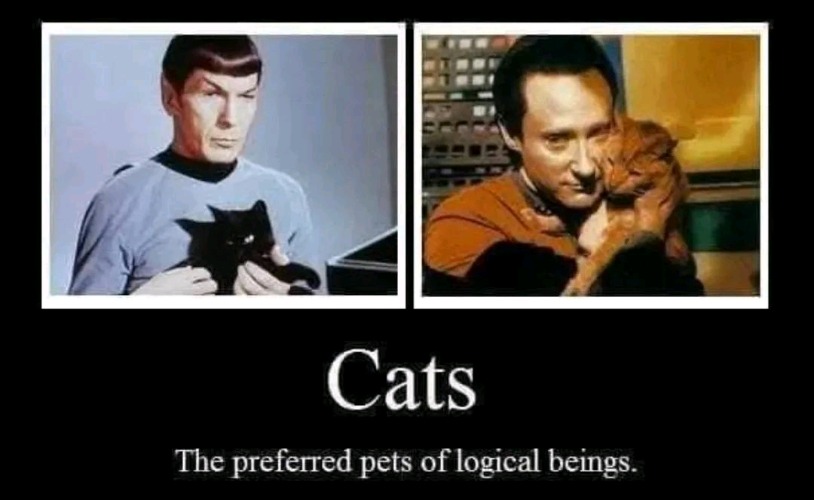The preferred pet of logical beings | made w/ Imgflip meme maker