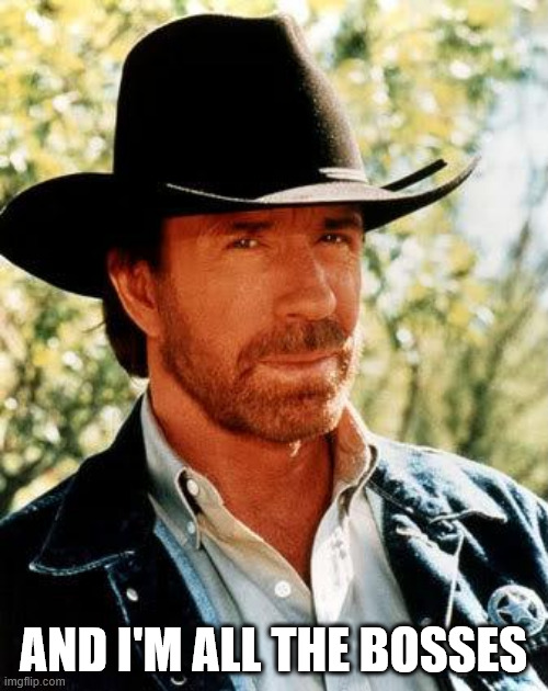 Chuck Norris Meme | AND I'M ALL THE BOSSES | image tagged in memes,chuck norris | made w/ Imgflip meme maker