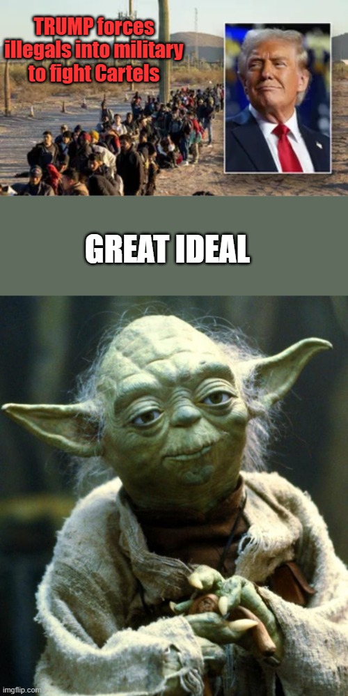 They refused to fight to save their own country, you think they'd fight to save your country ? | TRUMP forces illegals into military to fight Cartels; GREAT IDEAL | image tagged in memes,star wars yoda | made w/ Imgflip meme maker
