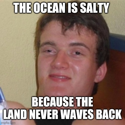 High/Drunk guy | THE OCEAN IS SALTY; BECAUSE THE LAND NEVER WAVES BACK | image tagged in high/drunk guy | made w/ Imgflip meme maker