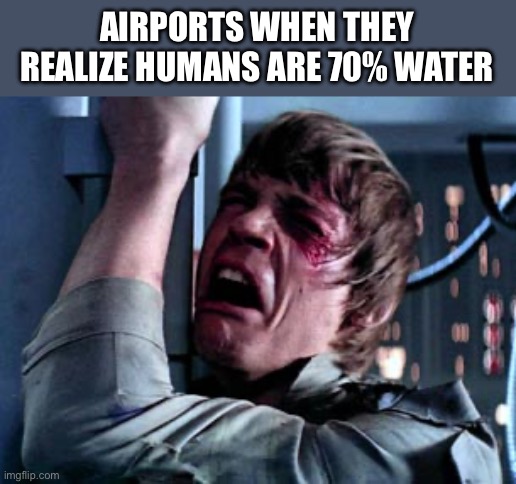 Luke Skywalker Noooo | AIRPORTS WHEN THEY REALIZE HUMANS ARE 70% WATER | image tagged in luke skywalker noooo | made w/ Imgflip meme maker