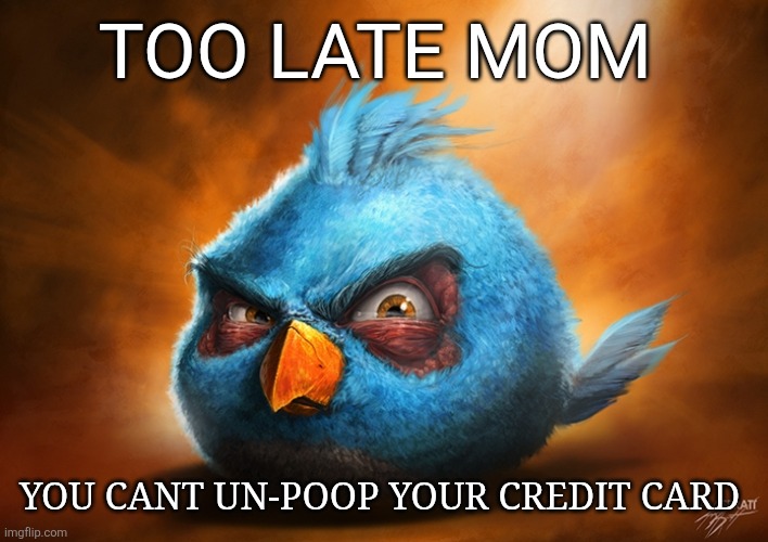 I'm not sane | TOO LATE MOM; YOU CANT UN-POOP YOUR CREDIT CARD | image tagged in angry birds blue | made w/ Imgflip meme maker