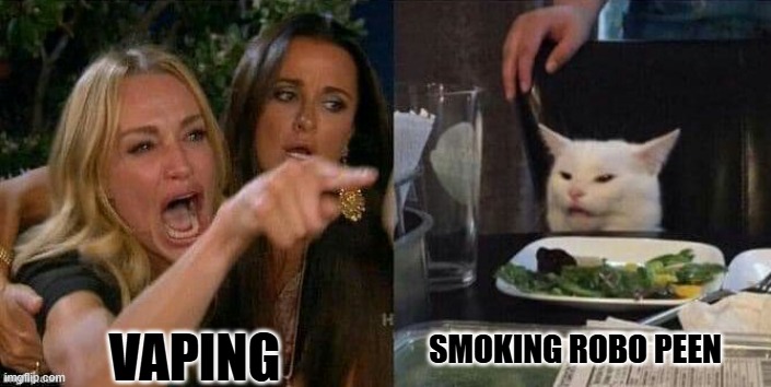 Woman yeling at cat | VAPING SMOKING ROBO PEEN | image tagged in woman yeling at cat | made w/ Imgflip meme maker
