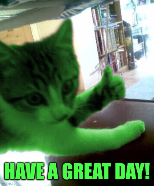 thumbs up RayCat | HAVE A GREAT DAY! | image tagged in thumbs up raycat | made w/ Imgflip meme maker