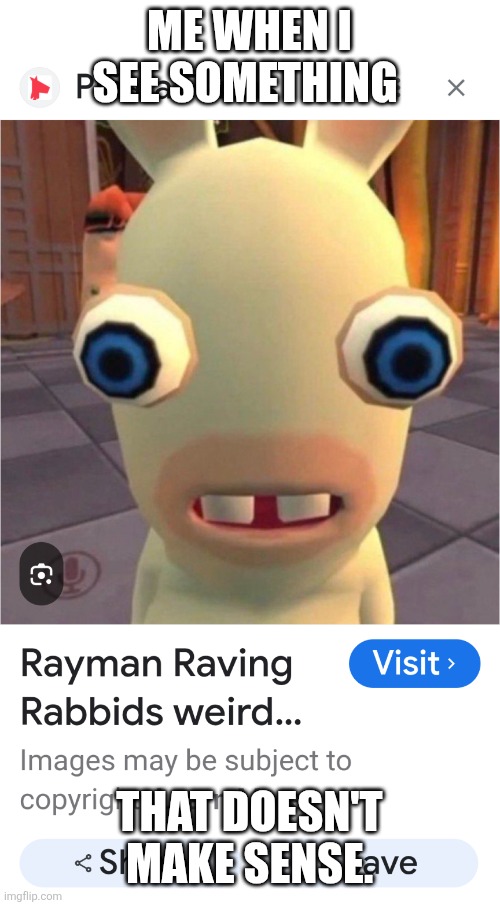 The rabbit from Mario | ME WHEN I SEE SOMETHING; THAT DOESN'T MAKE SENSE. | image tagged in the rabbit from mario | made w/ Imgflip meme maker