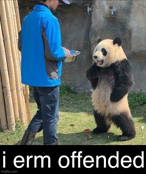 i erm offended | made w/ Imgflip meme maker